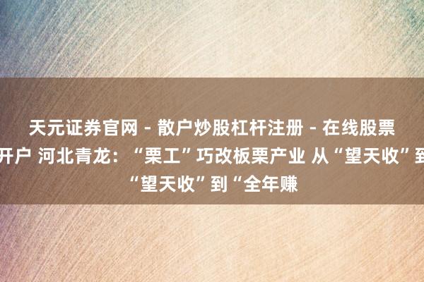 天元证券官网 - 散户炒股杠杆注册 - 在线股票如何配资开户 河北青龙：“栗工”巧改板栗产业 从“望天收”到“全年赚