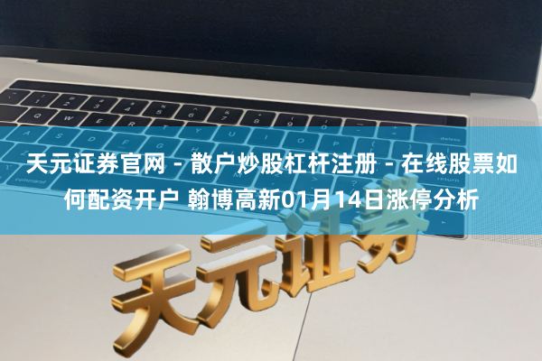 天元证券官网 - 散户炒股杠杆注册 - 在线股票如何配资开户 翰博高新01月14日涨停分析