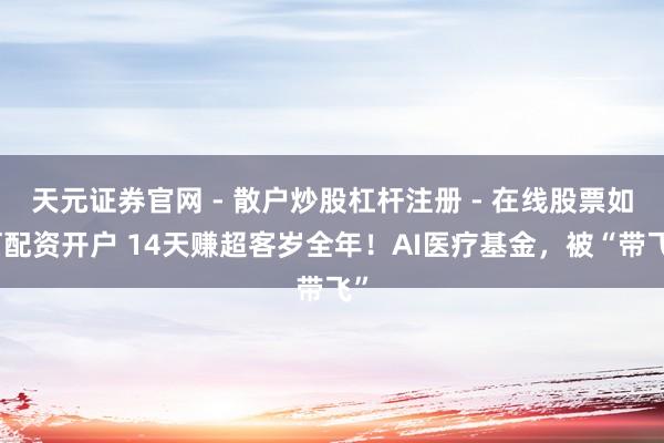 天元证券官网 - 散户炒股杠杆注册 - 在线股票如何配资开户 14天赚超客岁全年！AI医疗基金，被“带飞”