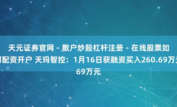 天元证券官网 - 散户炒股杠杆注册 - 在线股票如何配资开户 天玛智控：1月16日获融资买入260.69万元