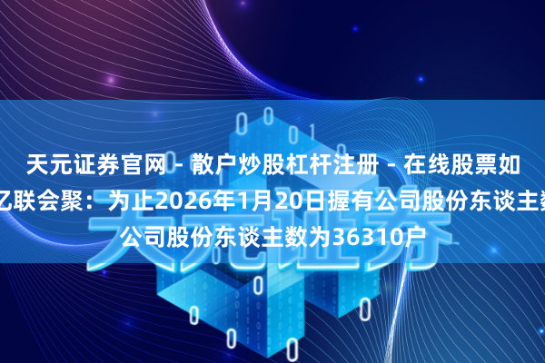 天元证券官网 - 散户炒股杠杆注册 - 在线股票如何配资开户 亿联会聚：为止2026年1月20日握有公司股份东谈主数为36310户