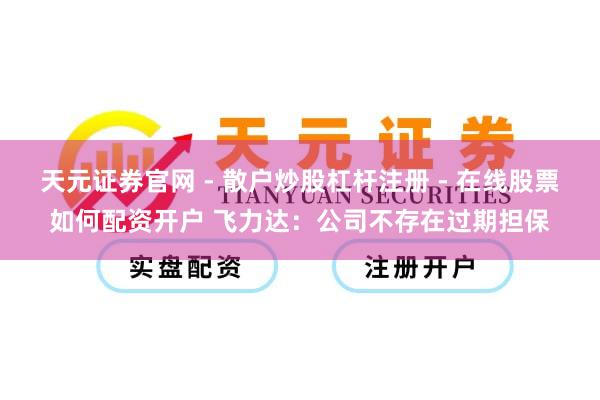 天元证券官网 - 散户炒股杠杆注册 - 在线股票如何配资开户 飞力达：公司不存在过期担保