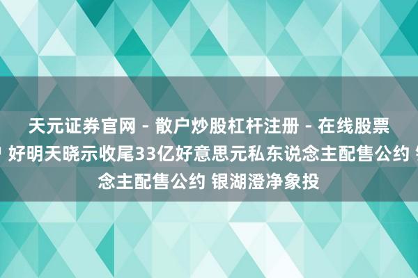 天元证券官网 - 散户炒股杠杆注册 - 在线股票如何配资开户 好明天晓示收尾33亿好意思元私东说念主配售公约 银湖澄净象投