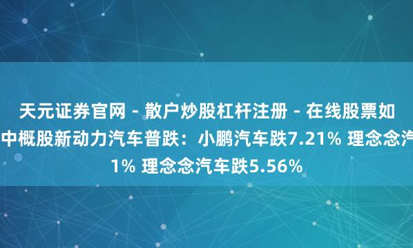 天元证券官网 - 散户炒股杠杆注册 - 在线股票如何配资开户 中概股新动力汽车普跌：小鹏汽车跌7.21% 理念念汽车跌5.56%